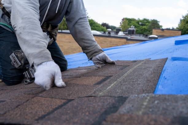 Best Metal Roofing Contractor  in Hinesville, GA