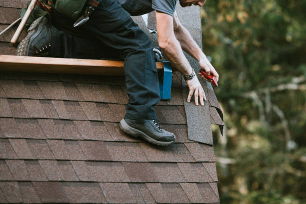 Best Roof Maintenance Services  in Hinesville, GA